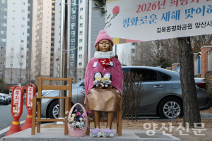 양산소녀상 집회 맞대응한 시민단체 대표 ‘무죄’