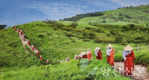 천성산, 지역의 명산에서 세계로 뻗어가다