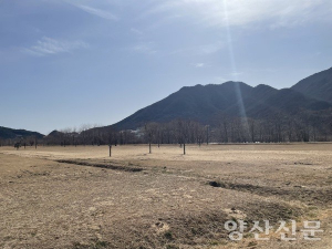 편법 황산공원 반려인 쉼터, 개선하려다 유역청에 발목