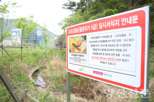 양산의 아픈 손가락 ‘고리도롱뇽’ 금정산 얼굴 되다