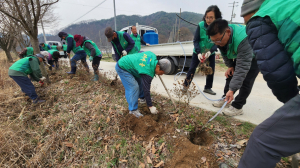 주상면 새마을 협의회, 국토대청결운동 실시