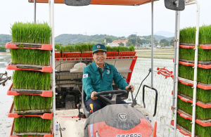 성낙인 창녕군수, 농번기 영농 현장 방문11