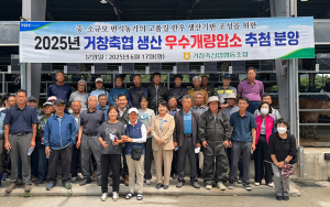거창축협, 우량 암송아지 14마리 분양