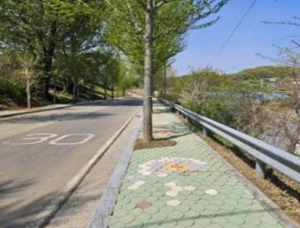 창녕군, 2025년 도로정비 종합평가 ‘최우수’ 기관 선정11