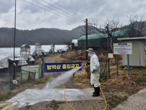 AI·ASF·구제역 도내 확산… 방역 긴장 지속