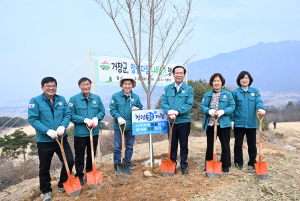 거창군, 청렴 실천의 시작 ‘청렴나무’ 식재