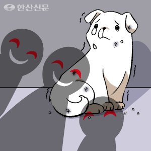 ‘거제 반려견 비비탄 난사 사건’, 국민들 엄벌 원해